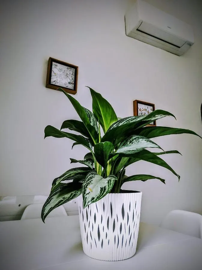Bed On The Rocks Apartment Finale Ligure